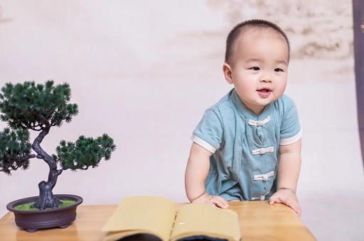 香河可爱的企鹅宝宝